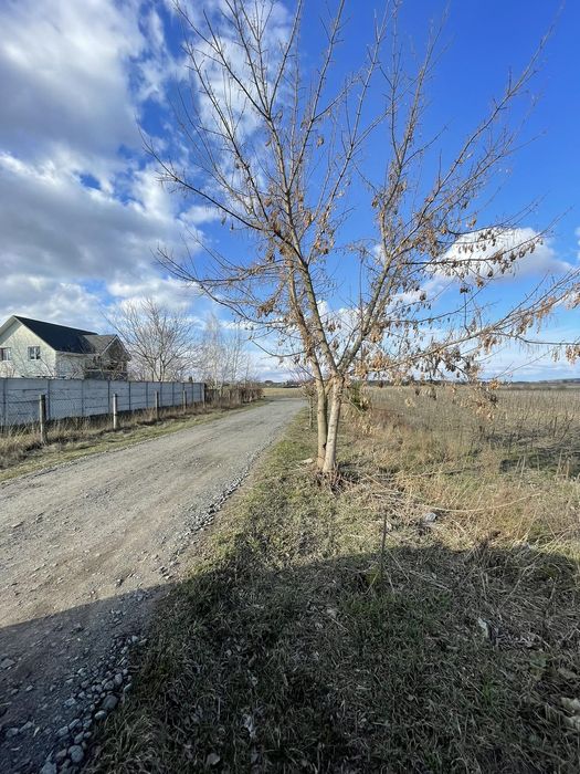 Земельна ділянка 84 сотки Осг