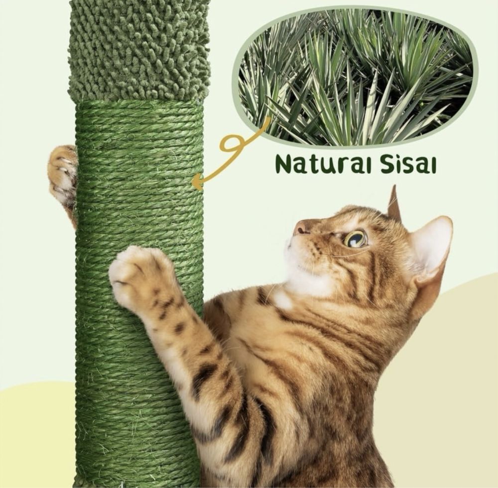 Drapak kaktus dla kota ekologiczny