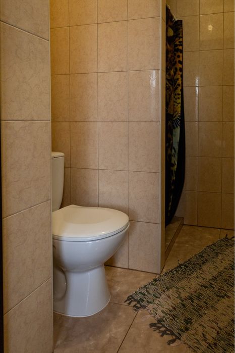 Будинок у Карпатах з банею та каміном "Перлина Прикарпаття"