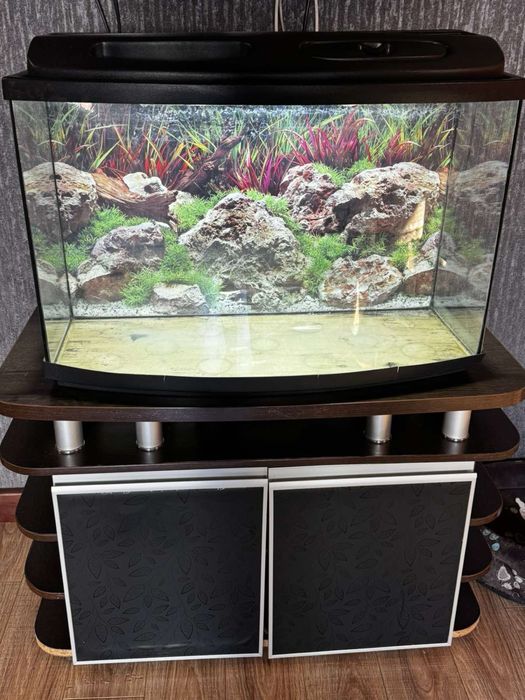 Продам акваріум б/у 140л + продаємо тумбочку