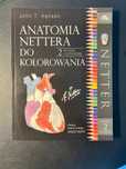 Anatomia Nettera do Kolorowania