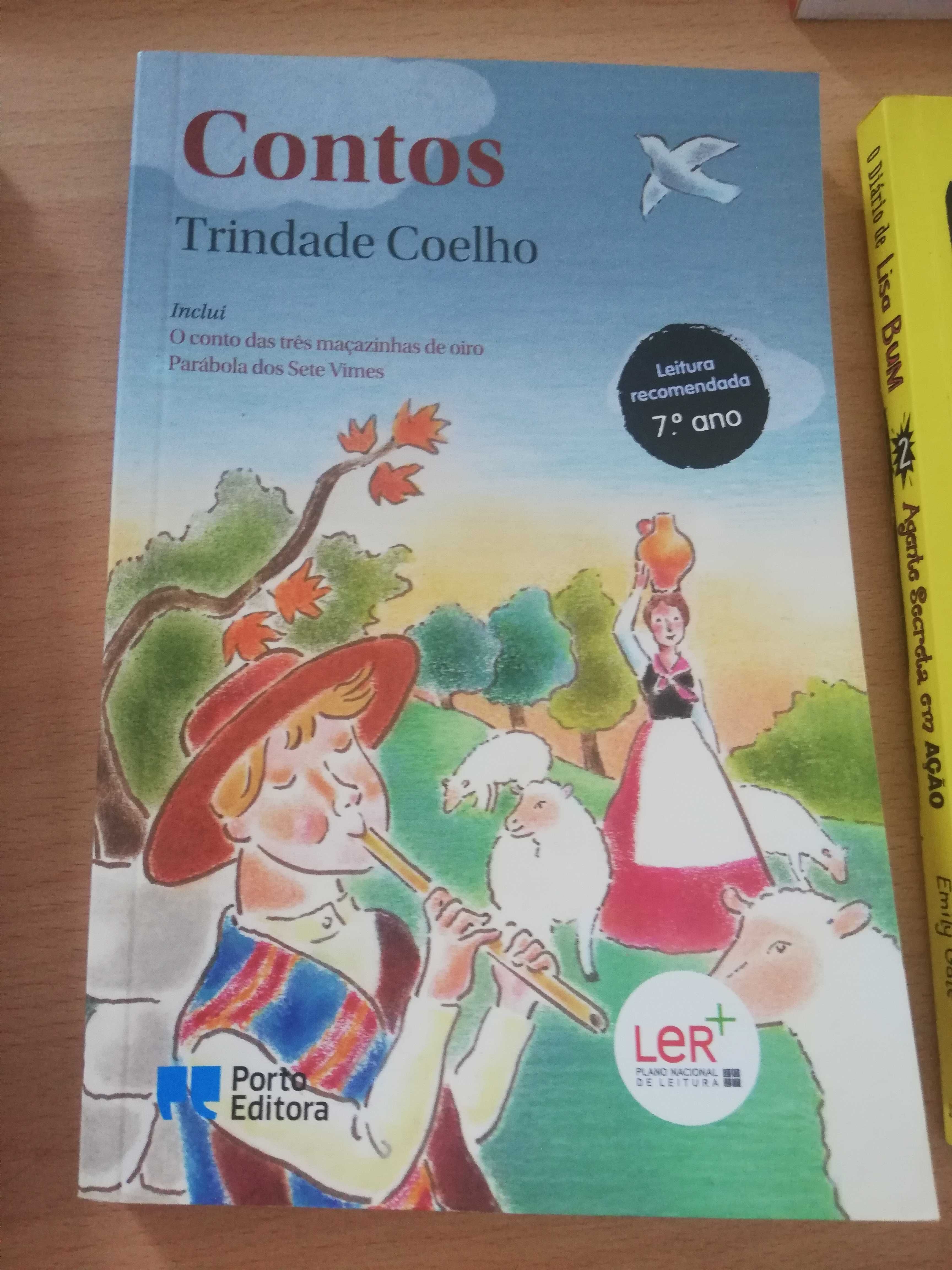 Conjunto de Livros infantis em bom estado