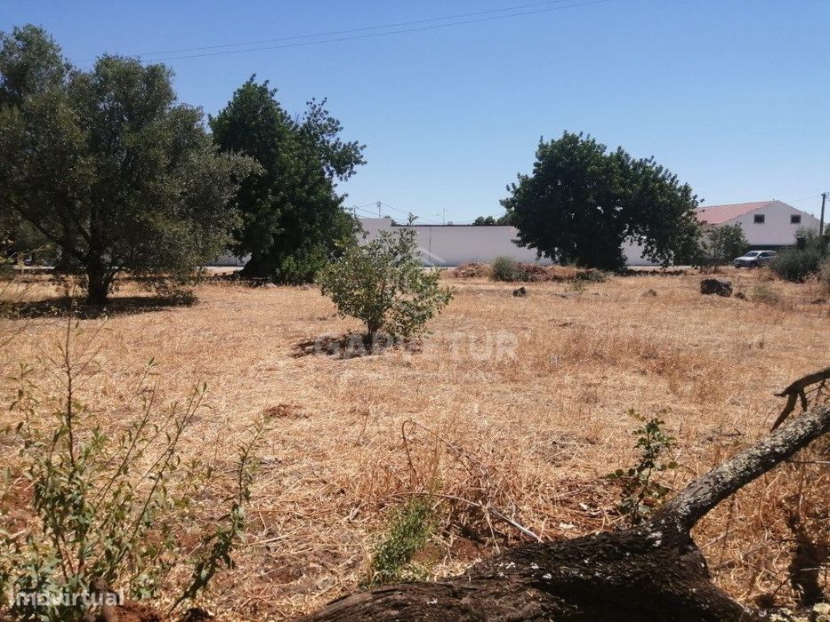 Terreno rústico, no Concelho de S. Brás de Alportel, Algarve