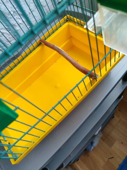 Продам клетки для домашних птиц .