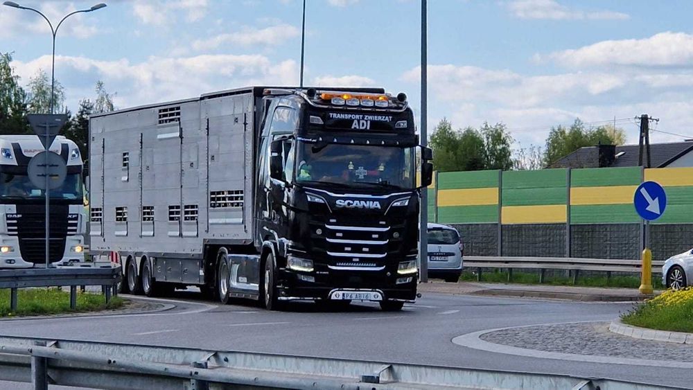SCANIA S580V8 AUTOMAT  Naczepa Pezzaioli 3pokłady do Żywca, Zwierząt