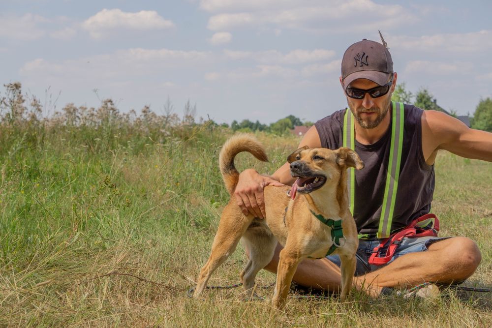MIA młoda przyjacielska sunia