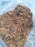 Kit pszczeli, propolis