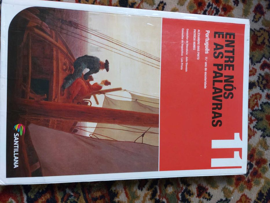 Livro 11 ano português