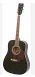 Gitara  akustyczna Hofner.