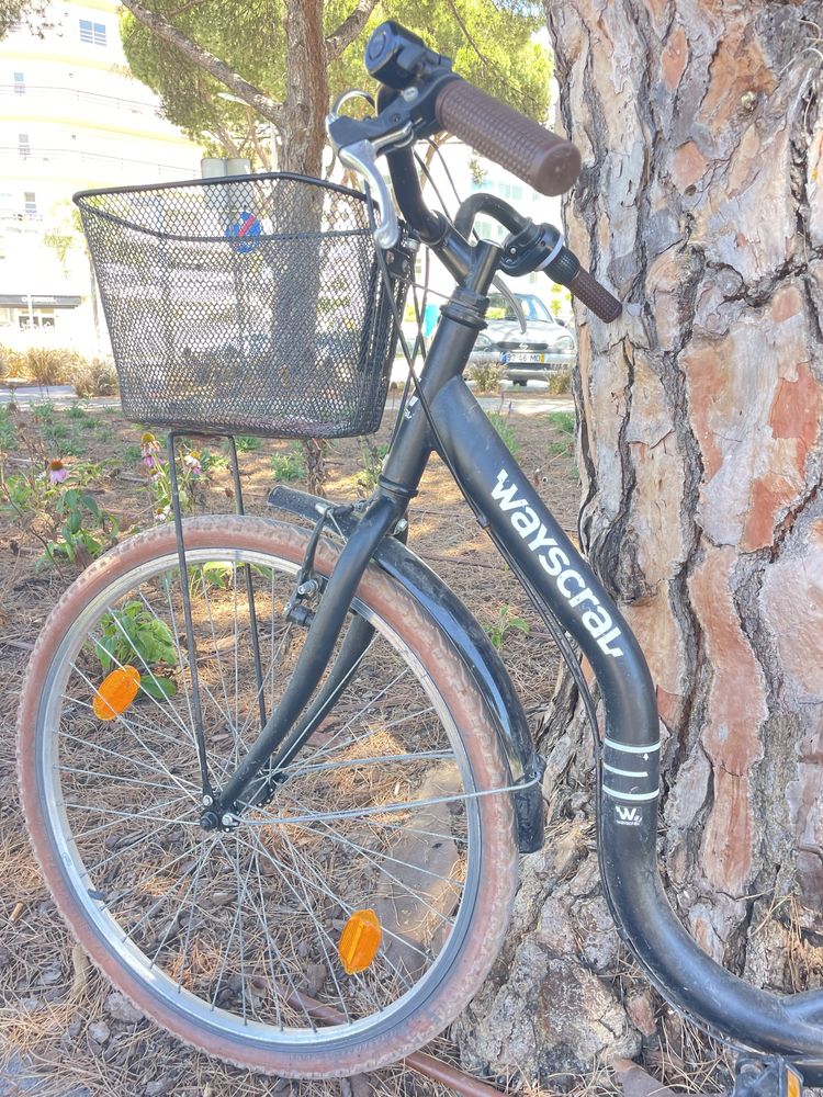 Bicicleta wayscroll