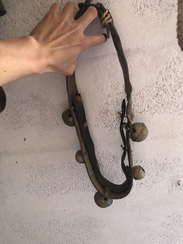 Carroça e arreios