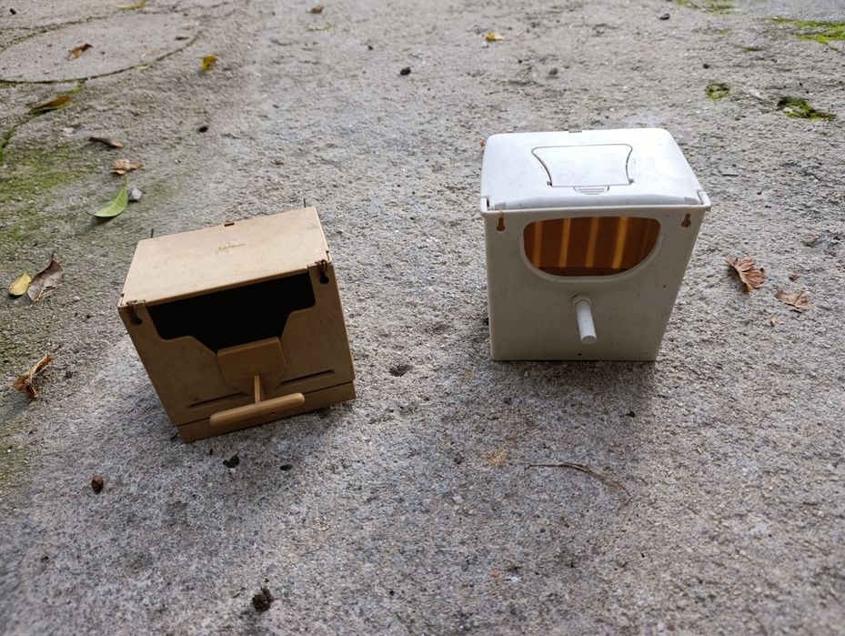 Ninhos para exóticos