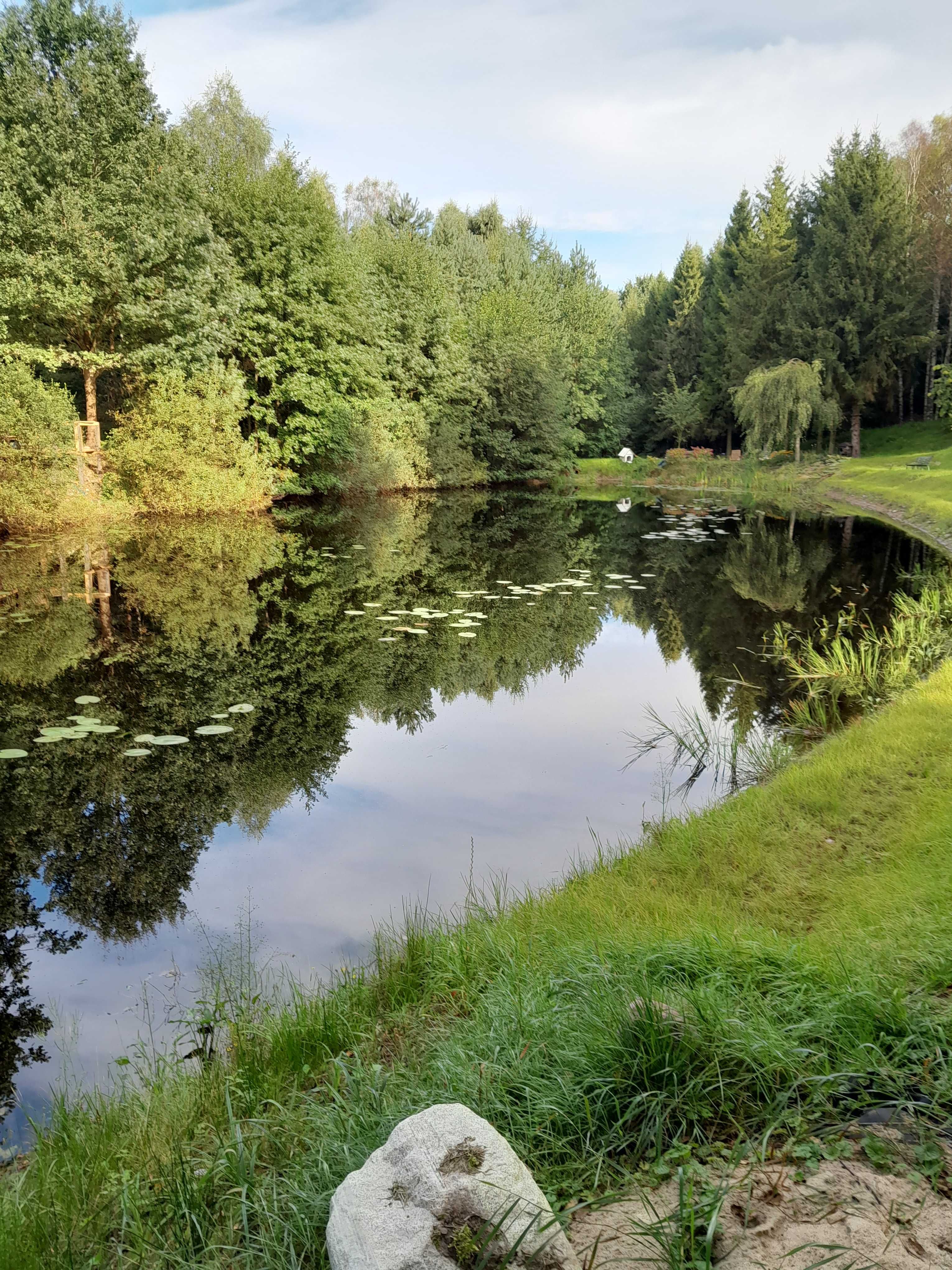 Kaszuby - Agroturystyka - Staw