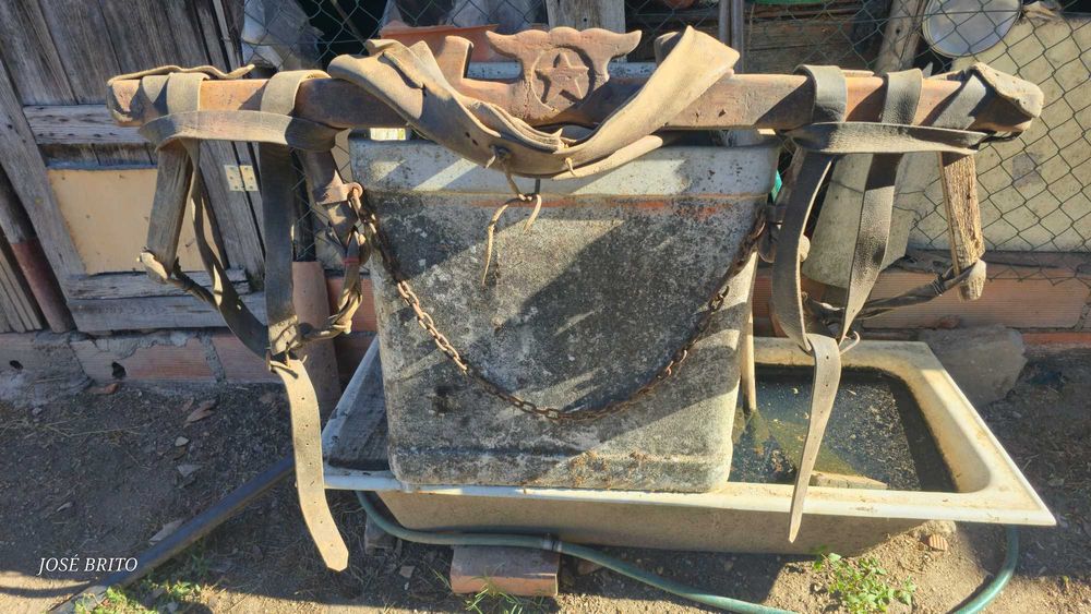 Canga de bois antiga em bom estado.