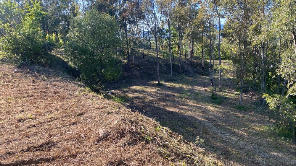 Limpezas de terrenos