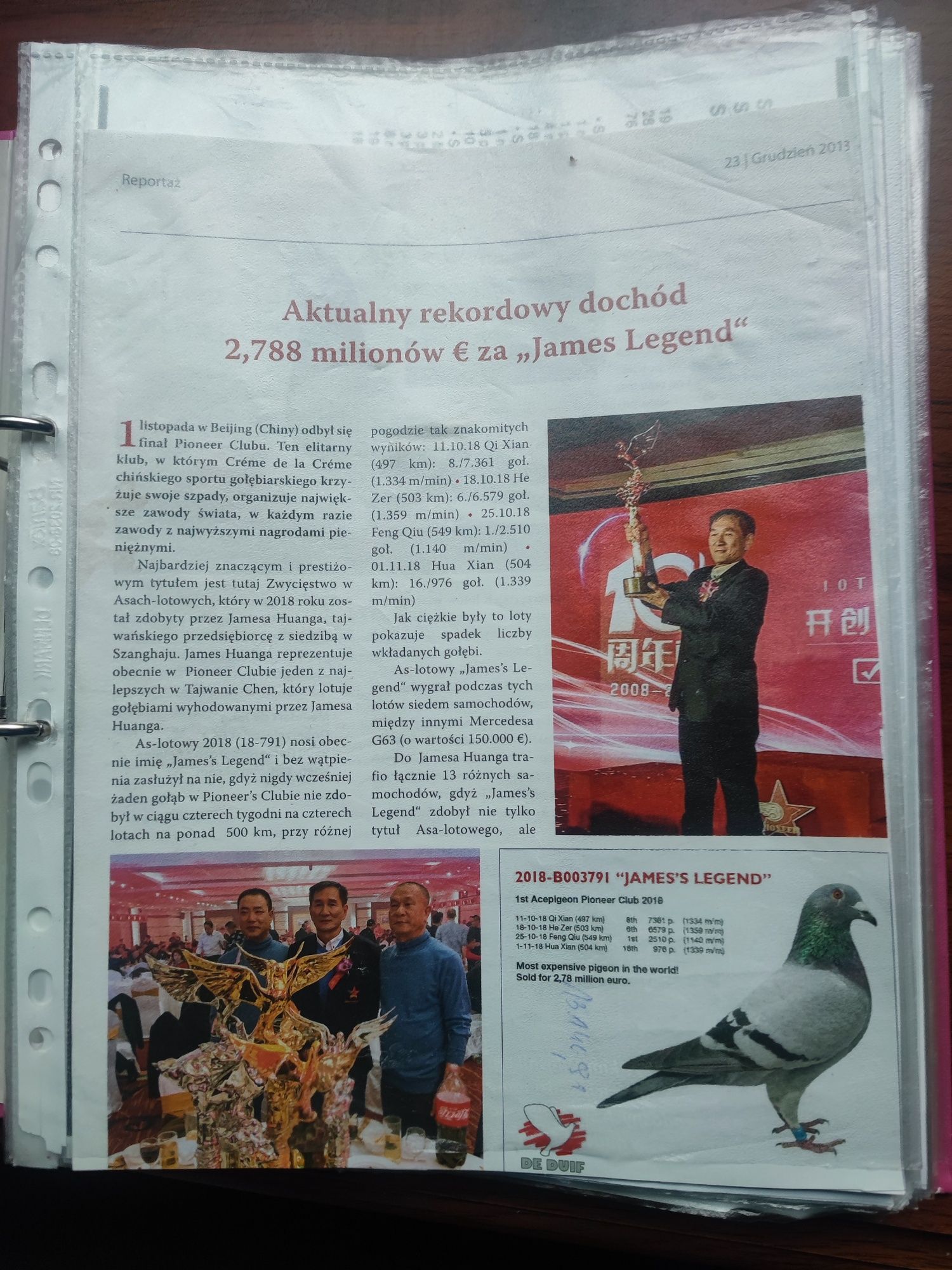 Młode linie Olimpijskie