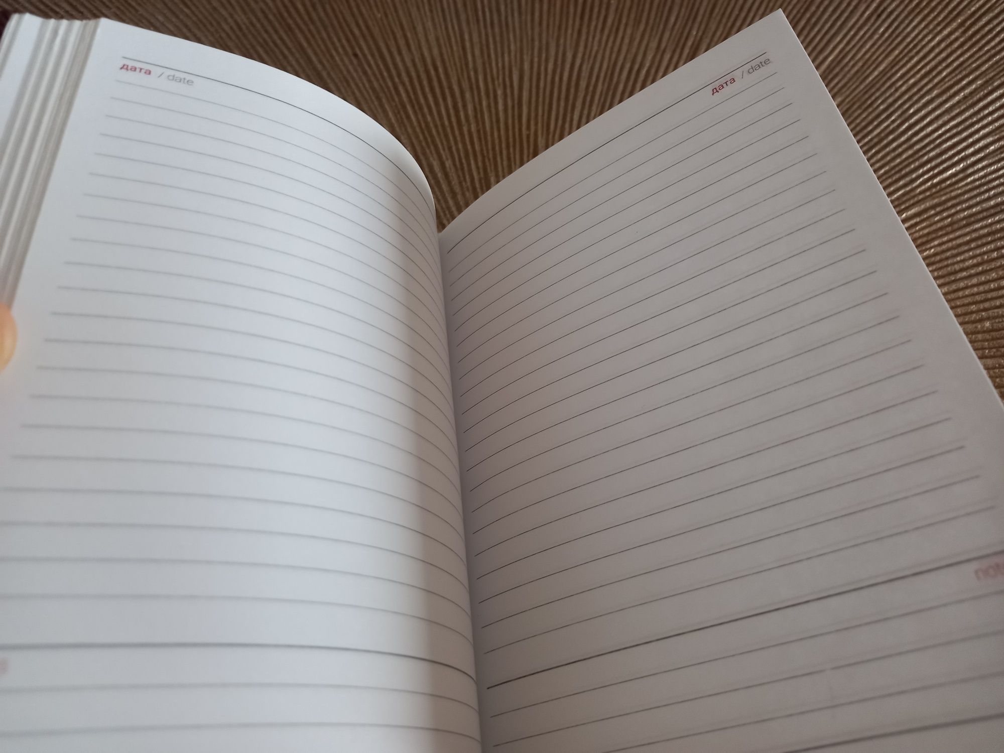 Bloco de Notas / Planner – Sem Data, Novo