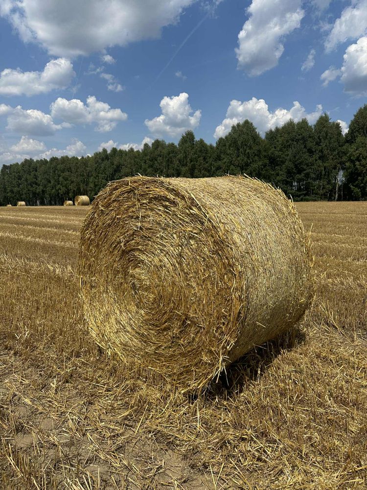 Sprzedam słomę z dostawą