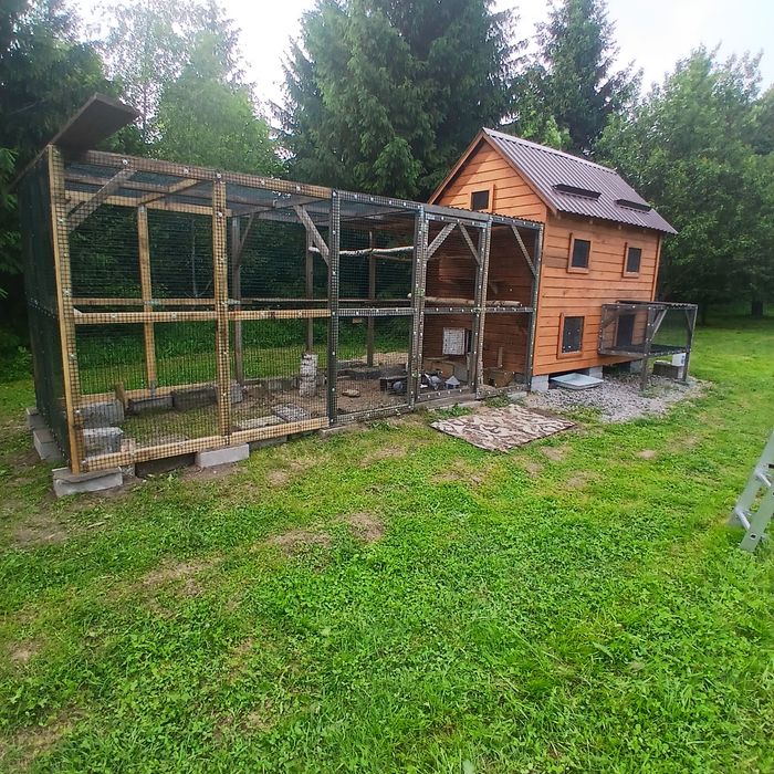 Sprzedam gołębnik z wojlerą i gołębiami rasowymi