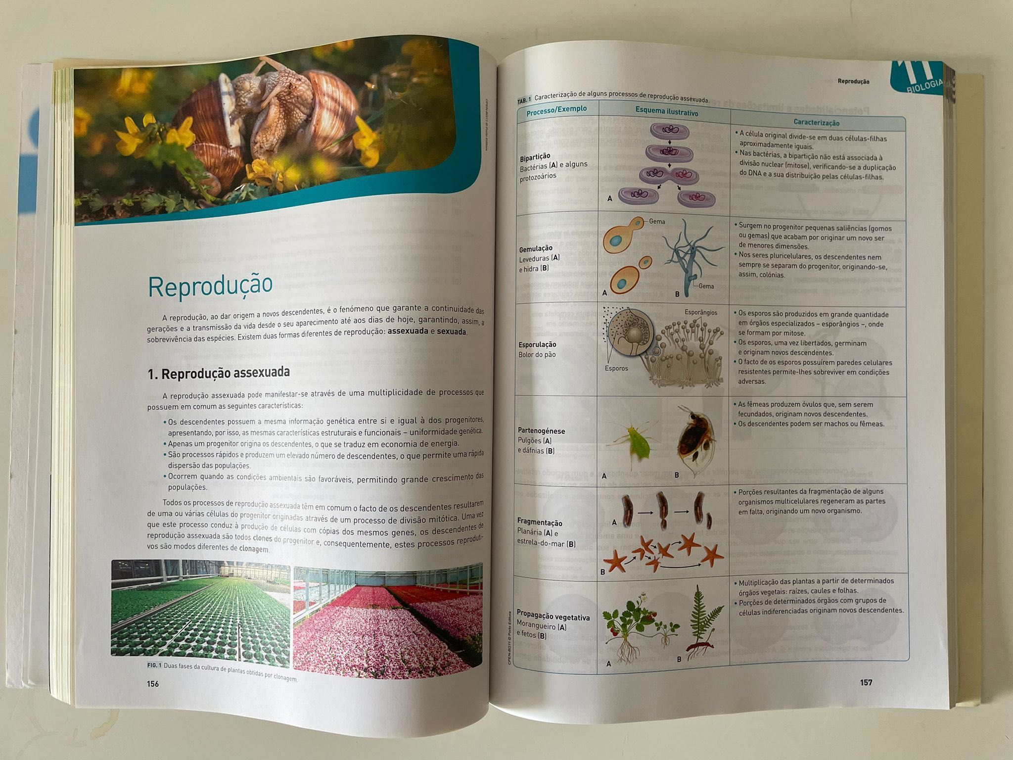 Livro De Preparação Para Exames De Biologia E Geologia 2020