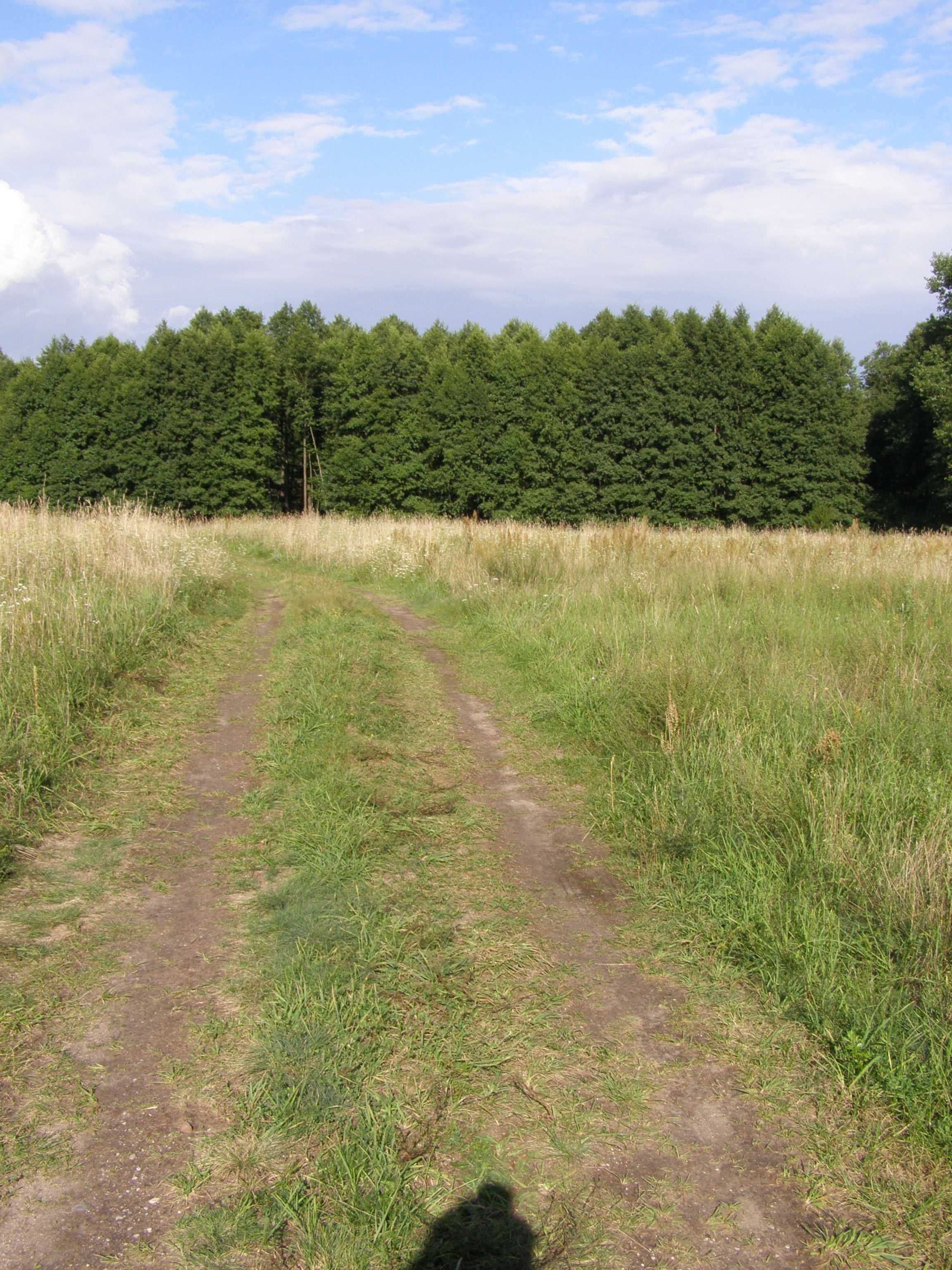 Piękna działka budowlana na Mazurach z linią brzegową