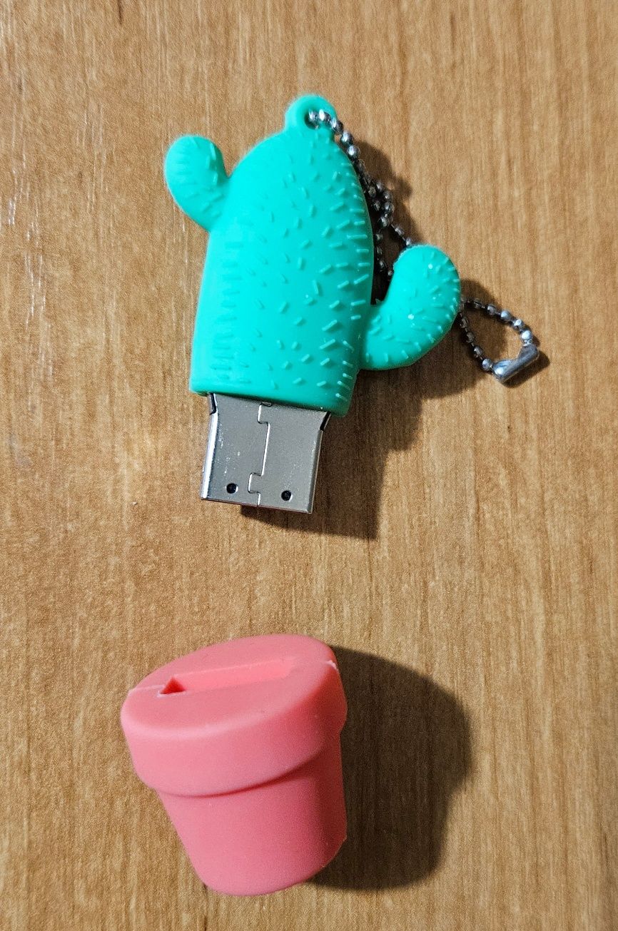 Pendrive kwiatek kaktus