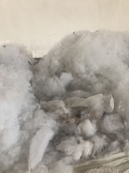 Мелений Синтепон