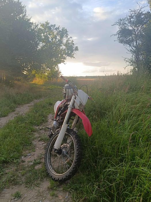 Cross Diabolini 250cc