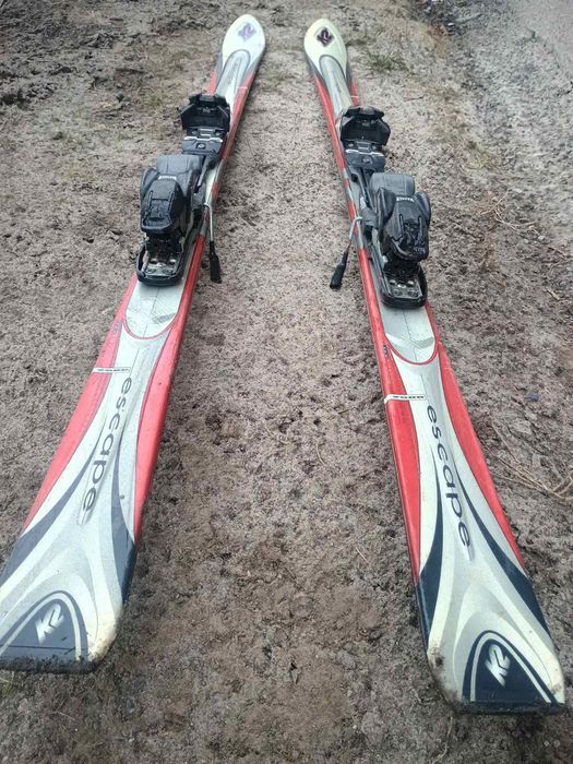 Продам лижі      )