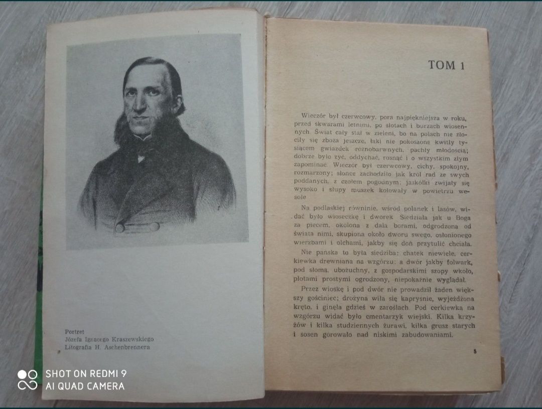 Grzechy hetmańskie. Józef Ignacy Kraszewski