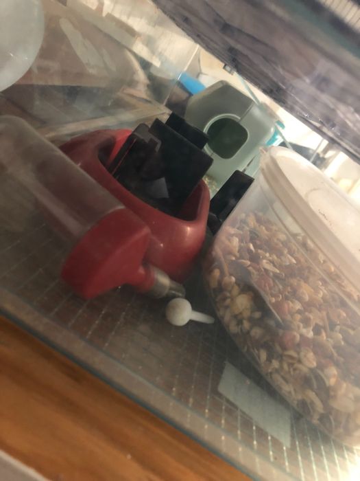 2 casotas de hamster