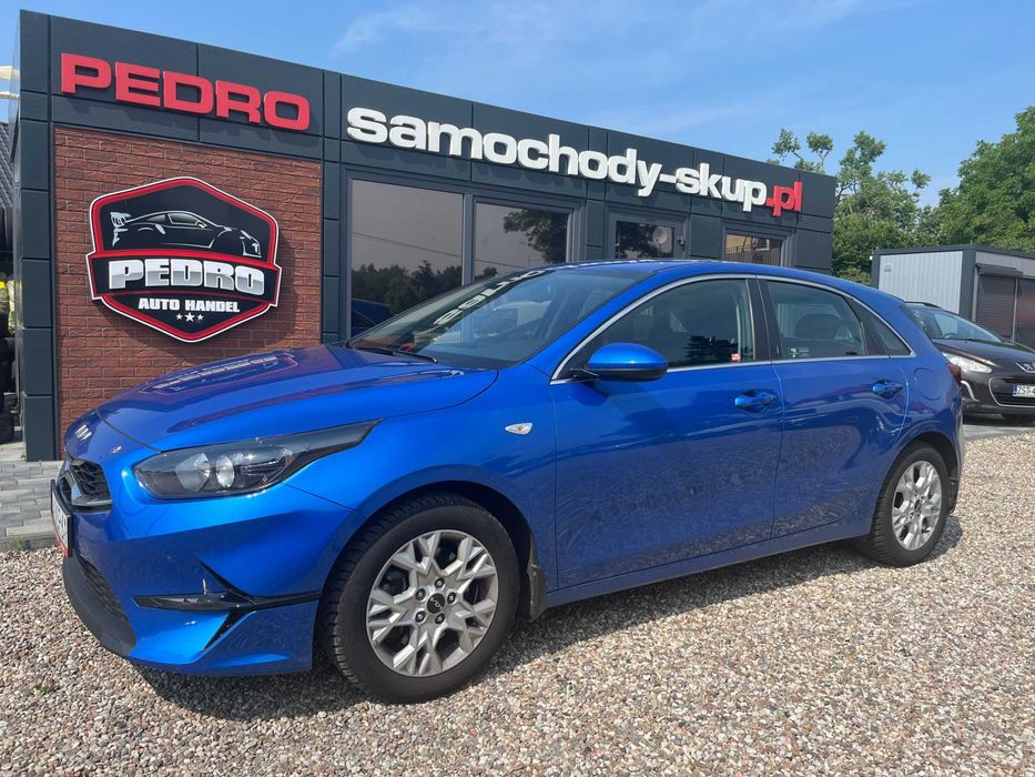 PEDRO – SKUP AUT CHOJNA (2008r-2018r) - W pełni sprawne lub do naprawy