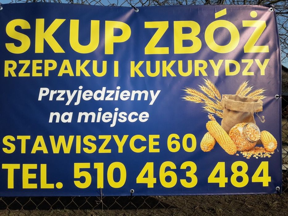 Pszenica Pszenżyto Jęczmień Kukurydza Rzepak