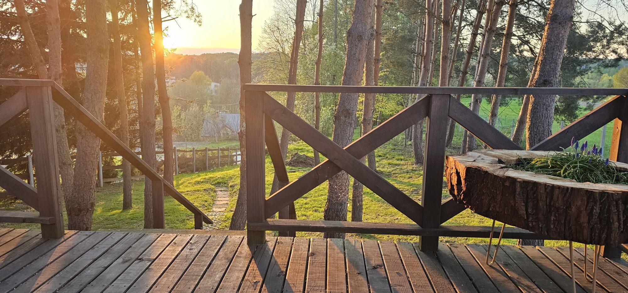 Domek z altaną ogrodową do wynajęcia