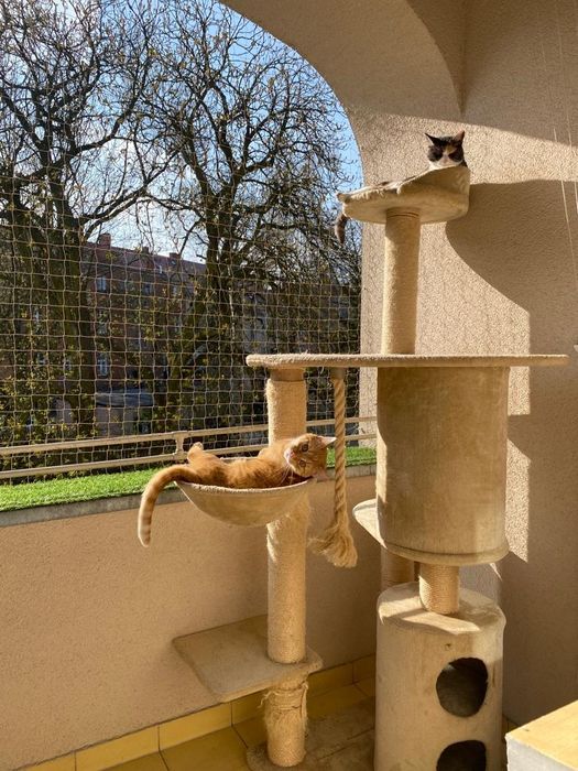 Siatka dla KOTA na balkon Zielona Góra
