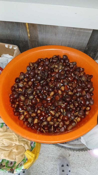 Castanhas para venda