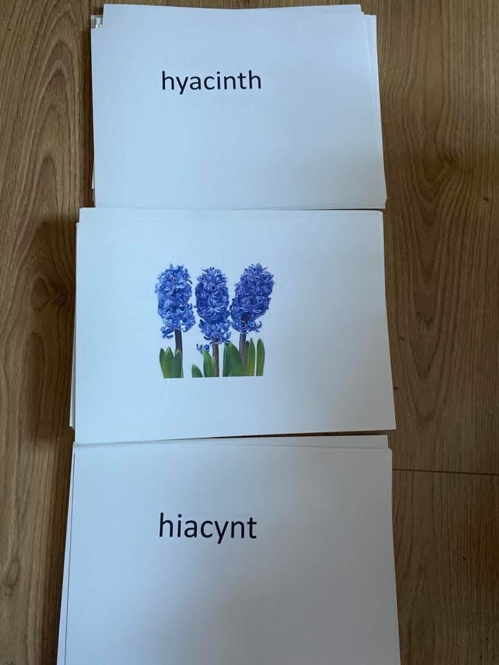 Bity inteligencji KWIATY karty doman