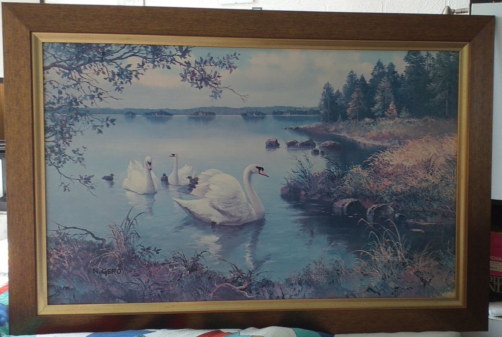 Reprodukcja obrazu łabędzie