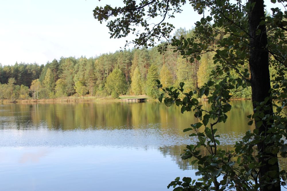 Domek letniskowy z kominkiem na Kaszubach Domek 14-os nad jeziorem