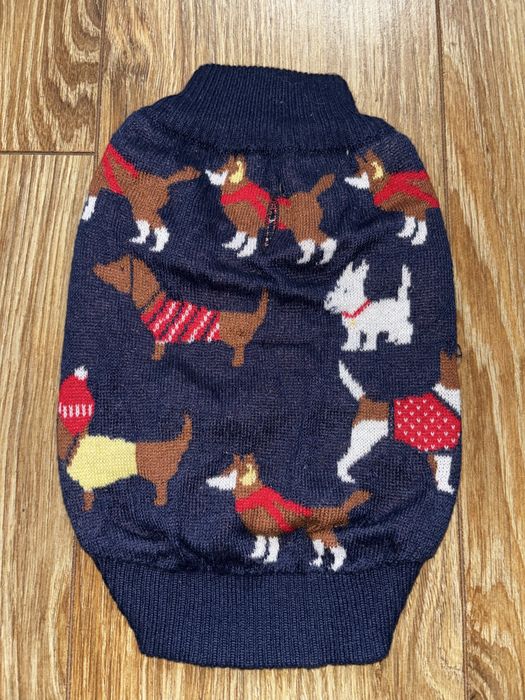 Sweter dla małego psa