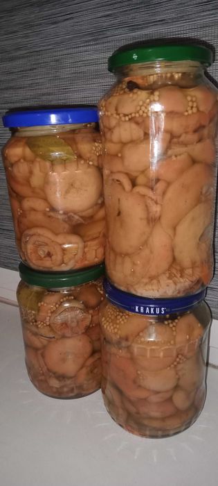 Rydze marynowane 4× 700 ml