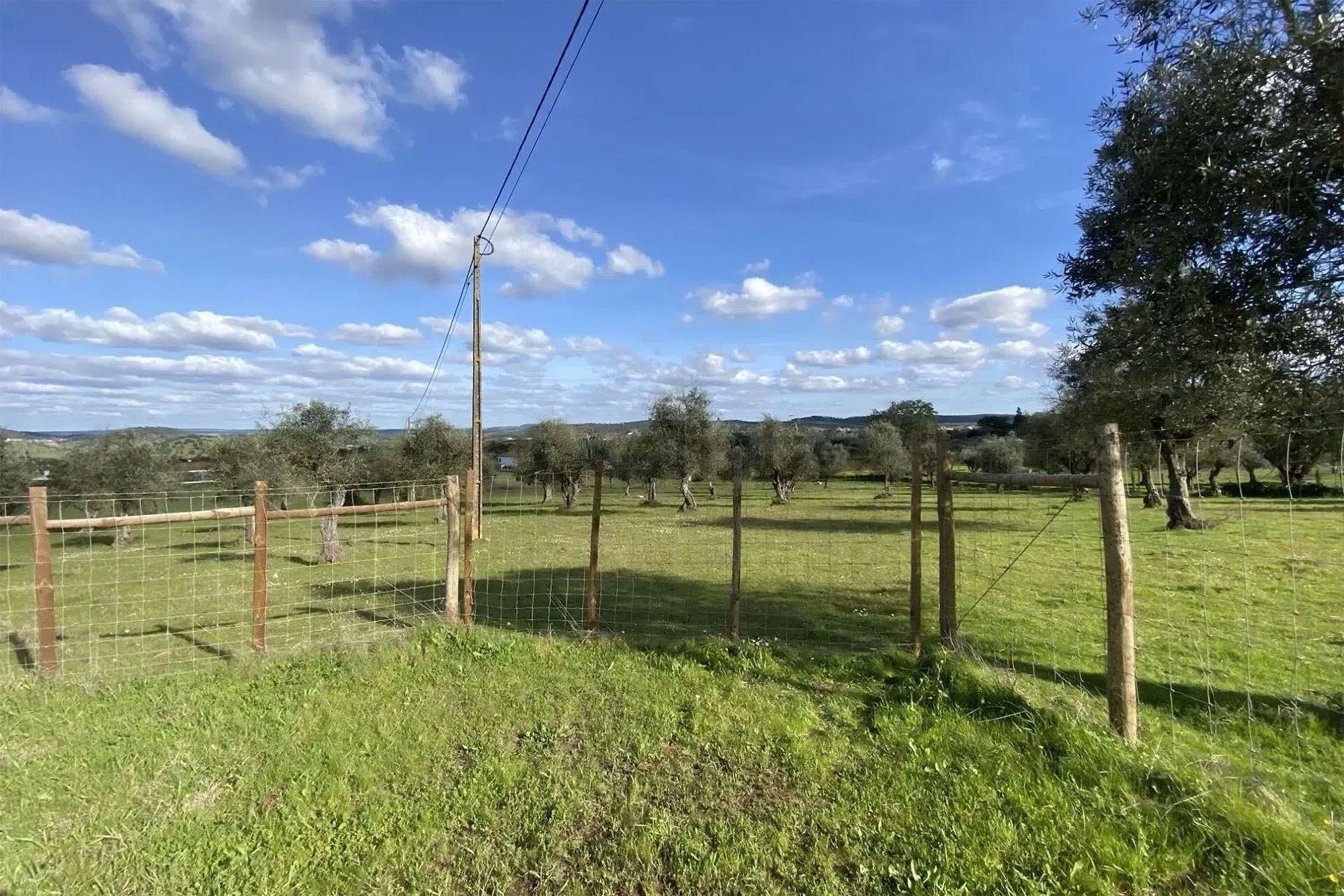 Terreno 1Ha: turismo rural exclusivo