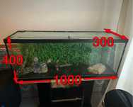 Aquario/ terrario