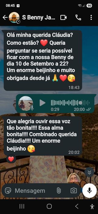 Estadia familiar canina creche