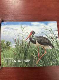 НБУ Чорнобиль.Відродження. Лелека чорний у сувенірному пакованні 5грн.