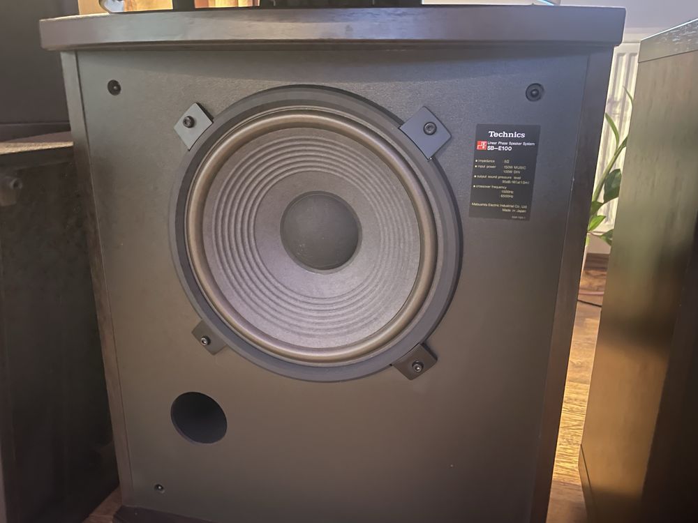 Technics SB-E100  Oryginały