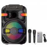 Караоке акустика Atlanfa-02(micro SD,USB,FM) пульт ДУ, 2 микрофона.
(0