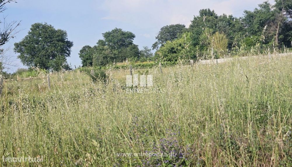 Terreno para venda, Friestas, Valença