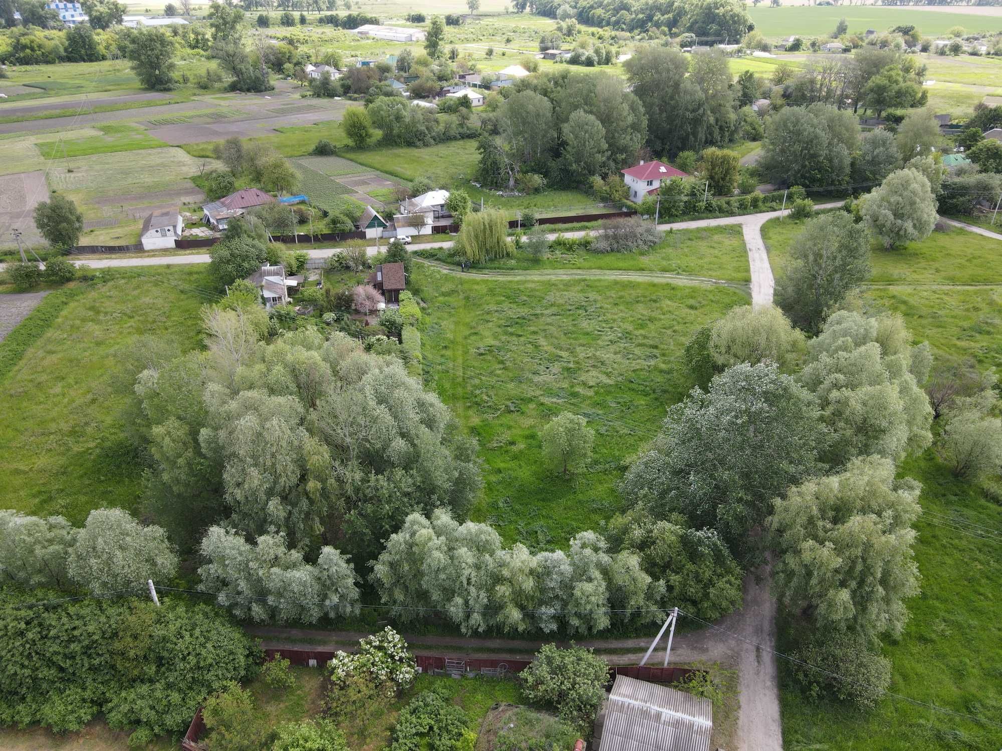 DI Продам земельну ділянку під будівництво с Гоголів, Броварський рн
