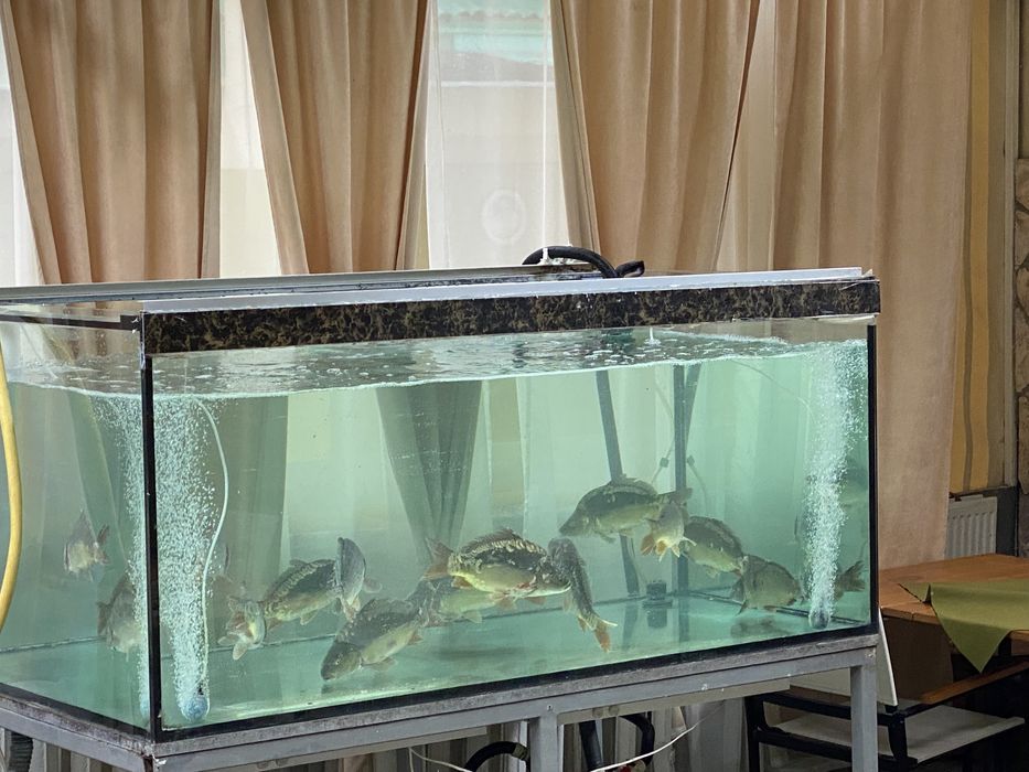 Акваріум в комплекті